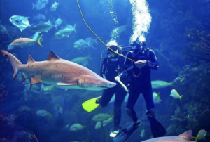 Screenshot 2026 02 13 at 12.23.38 AM